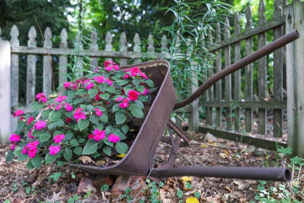 Granger Sutton Farm Bed And Breakfast المظهر الخارجي الصورة